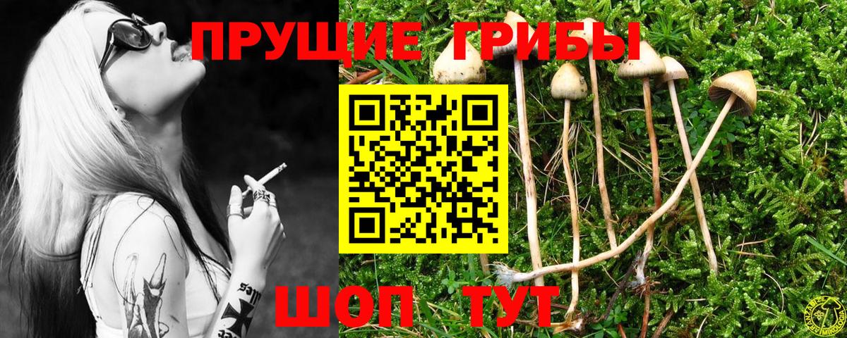 Галлюциногенные грибы мицелий Петрозаводск